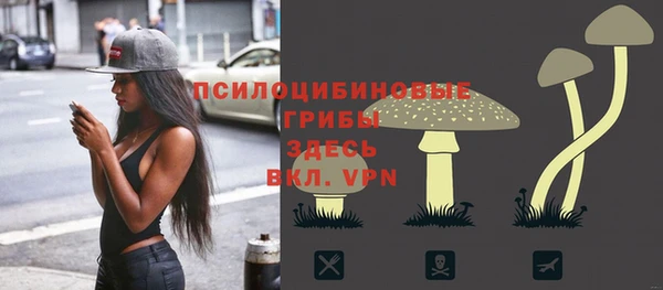 PSILOCYBIN Нефтегорск
