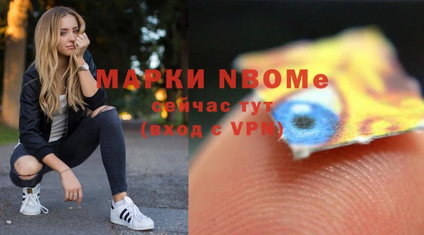 прущий лед Нея