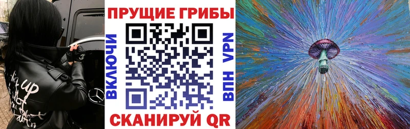 Псилоцибиновые грибы Psilocybe  где можно купить   Полесск 